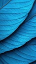 Vibrant blue leaves create a stunning visual texture and pattern