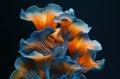Vibrant Blue and Orange Mushrooms in Artistic Close-Up