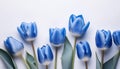 The vibrant blue tulips stand out strikingly against isolated white background, their petals gently curving and their stems rising Royalty Free Stock Photo