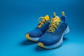 Dancing Clouds A Pair of Blue and Yellow Shoes Royalty Free Stock Photo