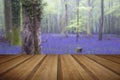 Vibrant bluebell carpet Spring forest foggy landscape with woode Royalty Free Stock Photo