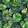 Vibrant botanical pattern featuring various green tropical leaves Royalty Free Stock Photo