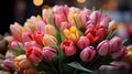 A lush bouquet of multicolored tulips, including shades of red, yellow, pink, and purple Royalty Free Stock Photo