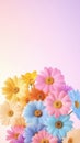 A Vibrant Bouquet of Pastel Daisies Royalty Free Stock Photo