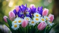 A vibrant bouquet of tulips irises and daisies Royalty Free Stock Photo