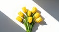 a vibrant bouquet of yellow tulips basking in sunlight, casting long shadows on a clean white surface, creating a bright and cheer Royalty Free Stock Photo