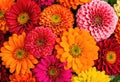 A vibrant bouquet of zinnias in a variety of hues.