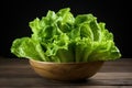 Vibrant Bowl green lettuce. Generate Ai