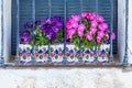 A vibrant building exterior featuring a balcony grille, window, and flourishing pink flowers -- capturing the fragility of growth