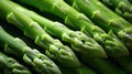 vibrant bunch asparagus green Royalty Free Stock Photo