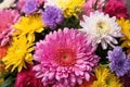 vibrant bunch of mixed colored flowers close-up