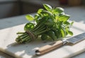 Fresh basil bundle on a cutting board with a knife nearby Royalty Free Stock Photo