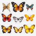 Vibrant Butterflies: Hyper-realistic Animal Illustrations In Iconographic Motifs