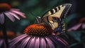 Vibrant butterfly pollinates purple coneflower in summer generated by AI Royalty Free Stock Photo