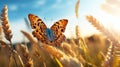 Vibrant Butterfly In Wheat Field: A Realistic Nature-inspired Image