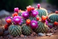 Vibrant Cactus Flowers among Prickly Desert Succulents. AI