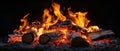 Vibrant Campfire Burning at Night