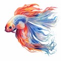 Colorful Siamese Fish Watercolor Illustration With Dynamic Energy Flow