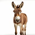 Vibrant Caricature: Brown And White Donkey In Graflex Speed Graphic Style