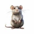 Vibrant Caricature Of A Gray Mouse In Realistic Fantasy Artwork