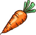 Vibrant Carrot: Hand-Drawn Cartoon Illustration