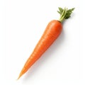 Vibrant Carrot: A Texture-rich Commentary On Society