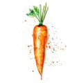 A vibrant carrot in watercolor with dynamic splashes