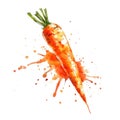 A vibrant carrot in watercolor with dynamic splashes