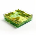 Vibrant Cartography: Hyper-realistic Green Grass And Vegetation In Transparent Box