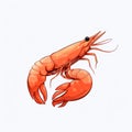 Vibrant Caricature Of A Shrimp With Claws On White Background