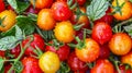 Vibrant Cherry Tomato: A Stunning Delight
