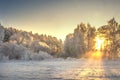 Vibrant Christmas winter landscape on sunrise. Warm sunlight in morning winter nature. Frost and fog in clear sunny morning. Royalty Free Stock Photo