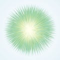 Abstract background. Explosion. Vector drawing Royalty Free Stock Photo