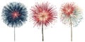 Vibrant Clip Art of Three Distinct Fireworks Bursting on White Background for Celebrations and Event Invitations Royalty Free Stock Photo