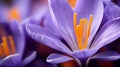 Vibrant Close-up: Detailed Crocus Stigma And Anthers In Blurred Background