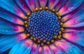 Vibrant Close-up of Dew-Kissed Flower