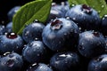 A vibrant close-up of fresh, healthy blueberries, rich blue color enticing you to savor delicious, nutritious berries