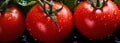 Vibrant Close-up of Fresh, Ripe Red Tomatoes with Water Drops, big fresh tomato background, Ai generative Royalty Free Stock Photo