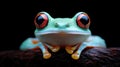 Vibrant, Close-up Frog Royalty Free Stock Photo