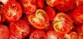 Vibrant close-up of halved tomatoes, showcasing their fresh, organic, and juicy appeal