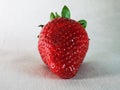 Vibrant Close-Up of a Red Strawberry on White Background Royalty Free Stock Photo