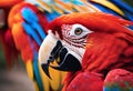 Vibrant close-up of a scarlet macaw, AI-generated.