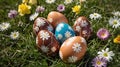 Colorful Easter Eggs with Spring Flowers in Green Grass Royalty Free Stock Photo