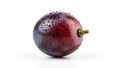 Single Fresh Tempranillo Grape Isolated on White Background Showcasing Deep Red and Purple Hues with Water Droplets for Royalty Free Stock Photo