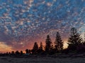 Clouds illuminated by the warm light of a sunrise fill the sky above a field lined with trees Royalty Free Stock Photo