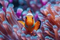 Vibrant Clownfish Amidst Anemone Haven #UnderwaterHarmony. Concept Underwater Photography, Marine