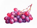 vibrant cluster of fresh, ripe red grapes. They glisten with water droplets, set against a pure white backdrop Royalty Free Stock Photo