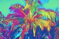 Vibrant coco palm leaf on neon sky background. Tropical nature digital illustration. Exotic island landscape. Royalty Free Stock Photo