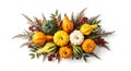 Autumn harvest gourd arrangement with greenery and berries Royalty Free Stock Photo
