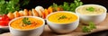 Vibrant collection of colorful soups and creamy delights - ideal for food website banners Royalty Free Stock Photo